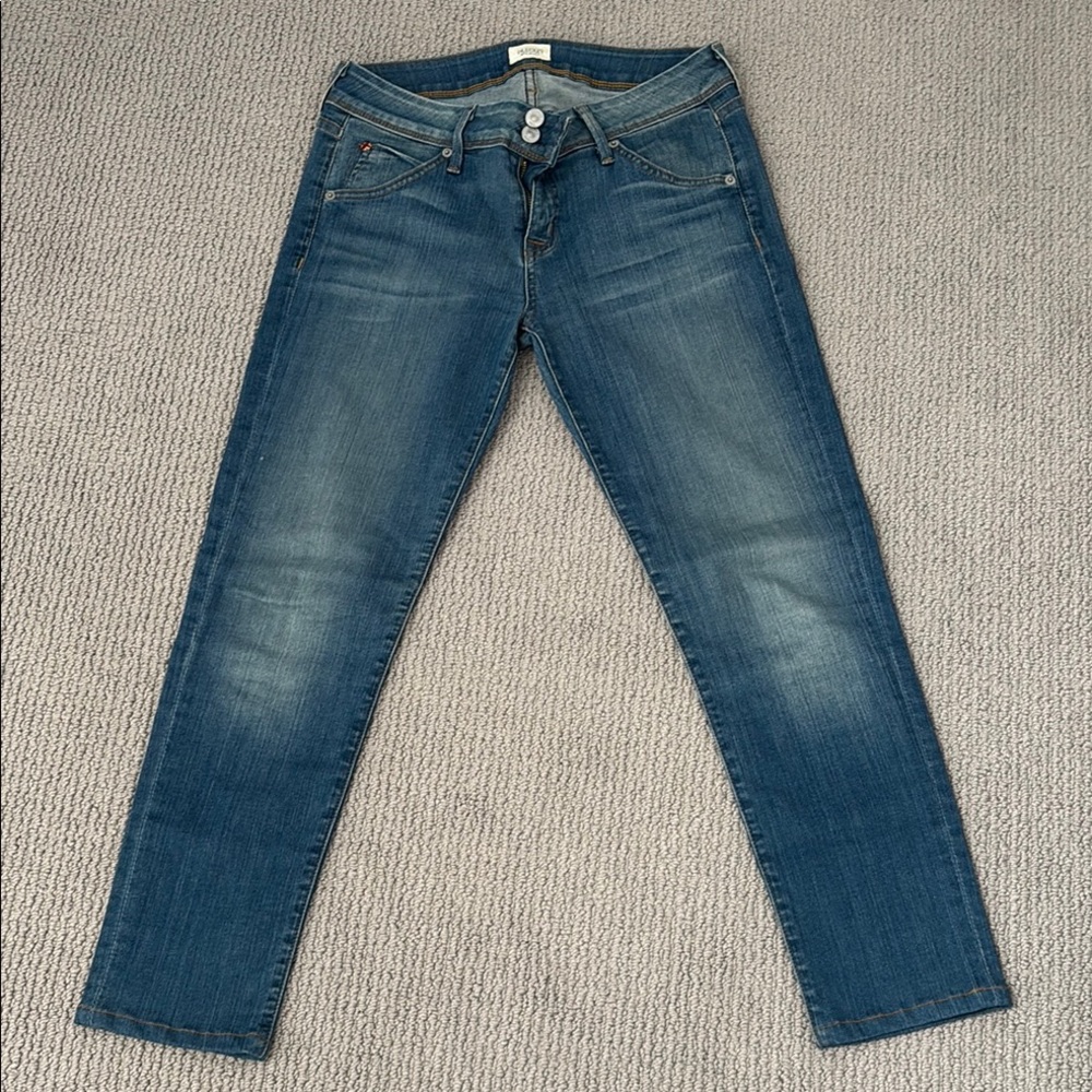 Hudson Jeans Blue Skinny Denim